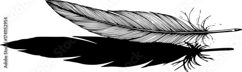  A single, delicate feather drawn in fine black lines, casting an impossibly large, solid black, heavy-looking geometric shadow on the white ground