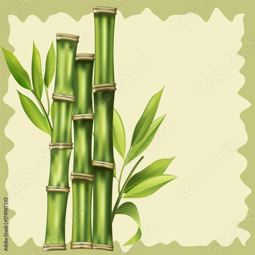 Background bamboo trees realistic style landscape on beige background vector image