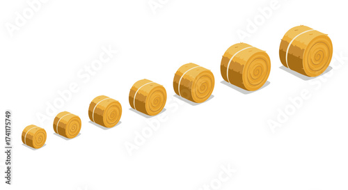 Growing hay bales in perspective: agricultural gradation concept