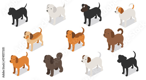 Isometric dog collection: diverse breeds in minimalistic style