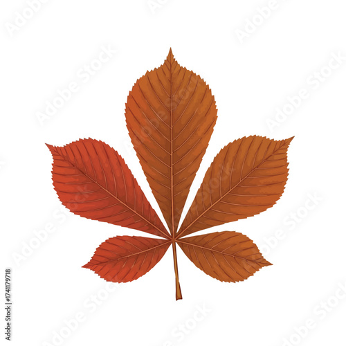 Reddish brown maple leaf with five pointed tips symbolizing the peak of autumn