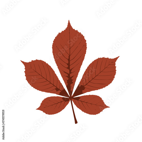 Deep red brown chestnut leaf with five leaflets showing autumn tone and natural detail