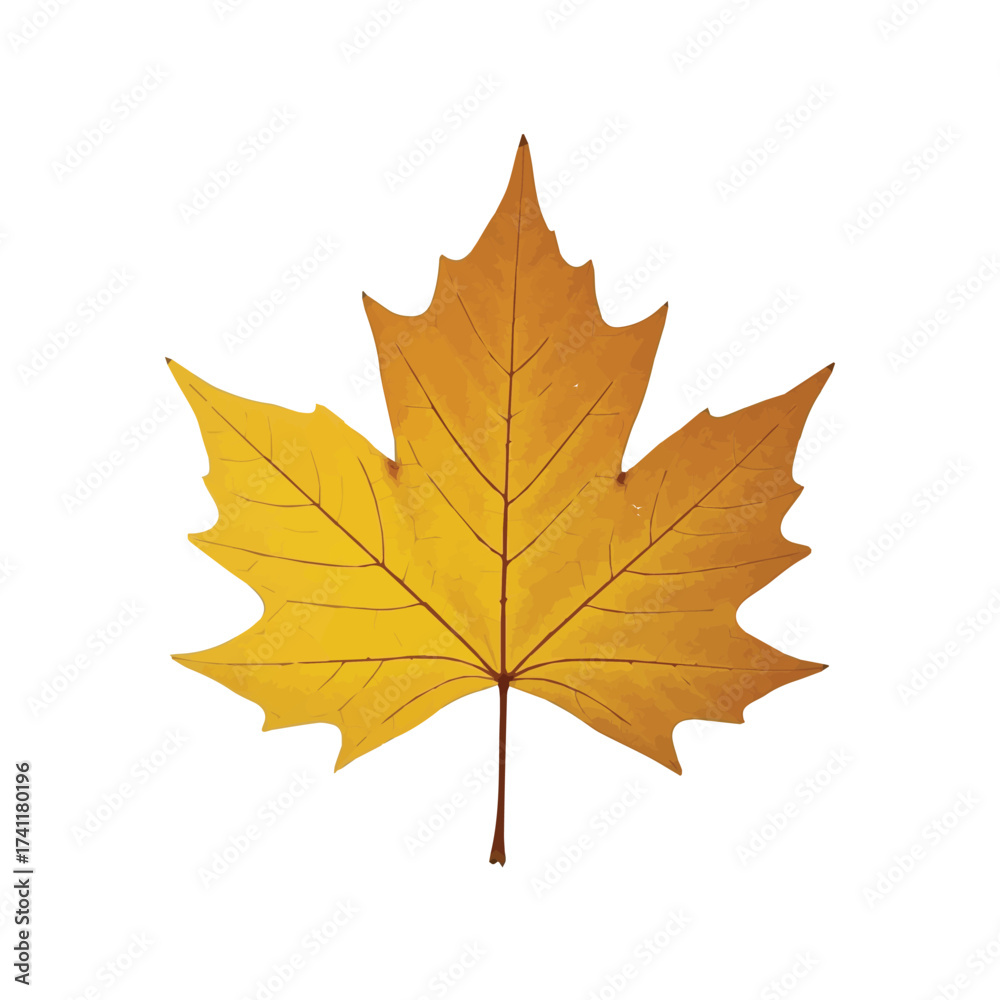 Fototapeta premium Classic maple leaf in vibrant golden orange tones representing the essence of fall foliage