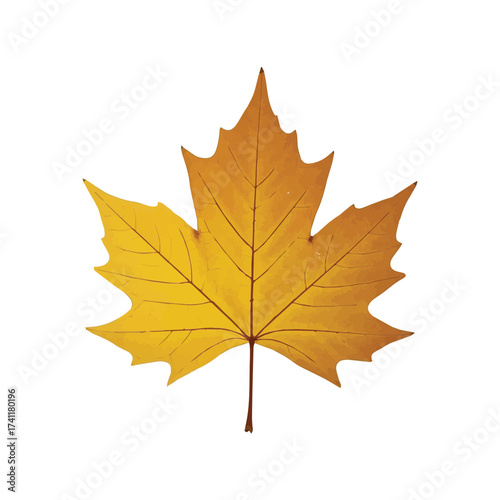 Classic maple leaf in vibrant golden orange tones representing the essence of fall foliage