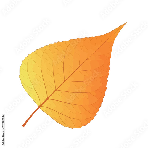 Orange autumn leaf with rounded shape and visible veins reflecting warm fall atmosphere