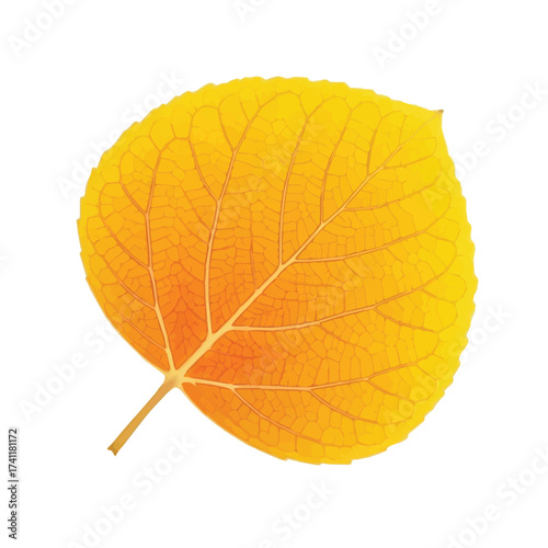 Yellow circular leaf with smooth surface symbolizing the essence of autumn simplicity
