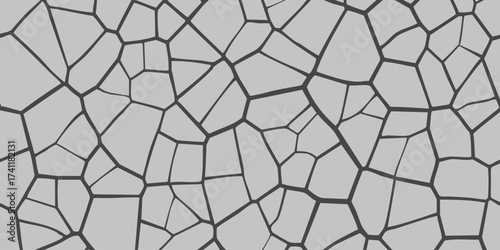 Abstract geometric background with a cracked pattern on a light gray surface, a subtle and textured visual