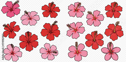 Hibiscus flowers in red and pink colors, arranged in a pattern on a white background.