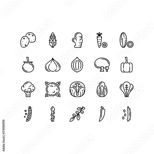 Vegetable outline icon set. vegetables black line icon set.