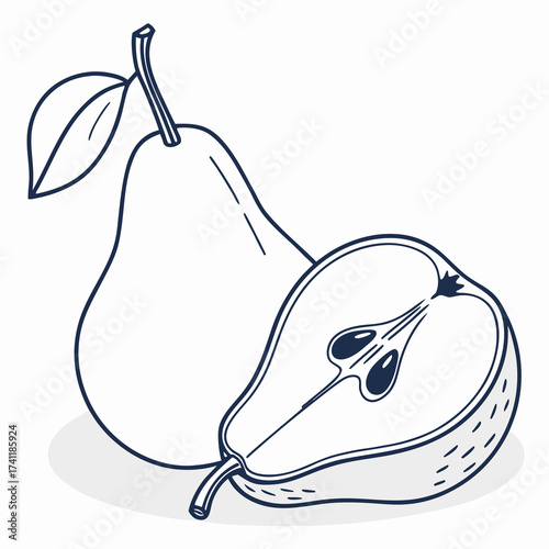 pear fruit vector illustration