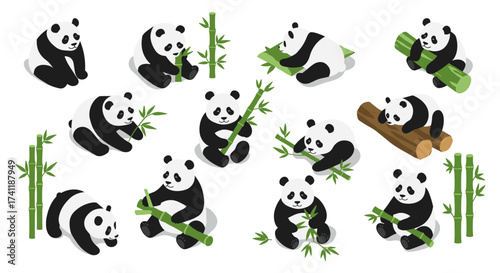 Playful panda set with bamboo in various isometric poses