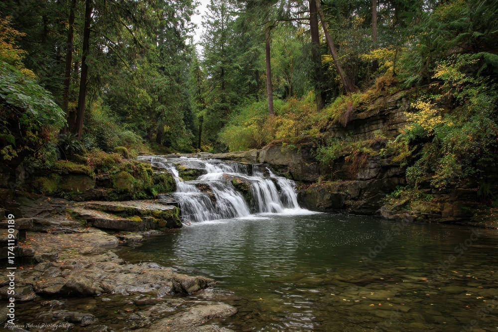 Obraz premium Serene Whatcom Falls: A Cascade of Water Amidst Lush Green Forests in Bellingham, Washington