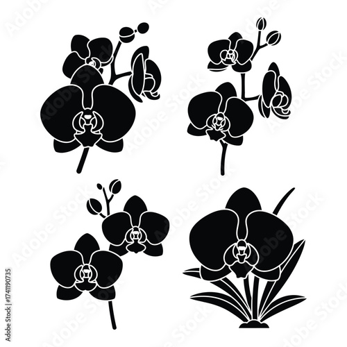 Elegant orchid silhouettes four botanical sprays featuring delicate petals and stems ideal for design silhouette