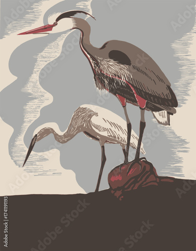 bird, flamingo, animal, vector, crane, nature, illustration, silhouette, heron, pink, wildlife, birds, white, beak, cartoon, stork, isolated, black, water, wing, animals, beautiful, feather, zoo, ostr