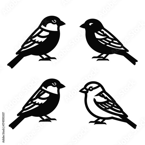 Obraz na plátně Charming sparrows four ornithological silhouettes with detailed feather textures