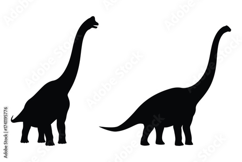 Two majestic brontosaurus dinosaur silhouettes facing different directions