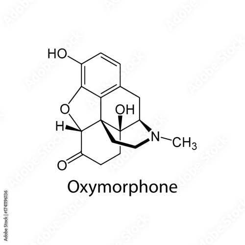 Oxymorphone molecular structure, semi-synthetic opioid analgesic drug for severe pain management, clean scientific vector diagram, flat skeletal chemical formula isolated on white background