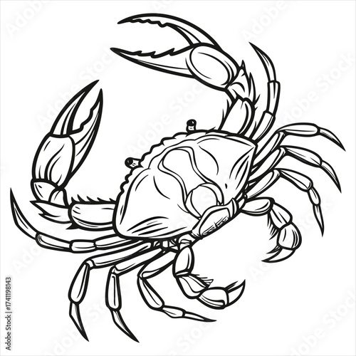 Ocean Warrior, Crab Line Art Vector, Coastal Guardian, Sea Crab Tattoo Design, Marine Life Sketch – Crab, Beachside Creature Illustration, Elegant Crab Outline, Aquatic Art – Crab Vector