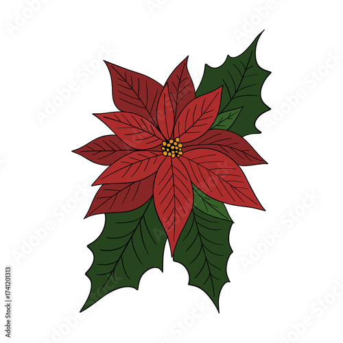 Beautiful red poinsettia flower, traditional Christmas plant symbol of the holiday season. Festive winter illustration greeting cards, invitations, decorations, posters, clipart
