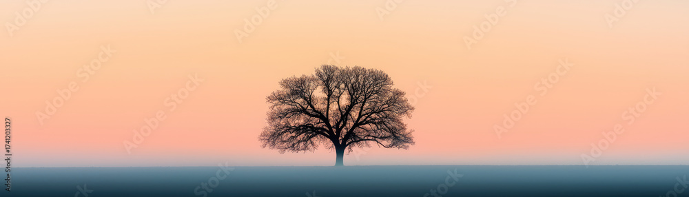 Obraz premium solitary oak tree stands against pastel africa sky at dawn, creating peaceful safari scene. soft colors evoke sense of calm and beauty in nature