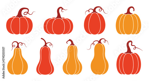 A collection of autumn gourds and pumpkins of various shapes and colors.