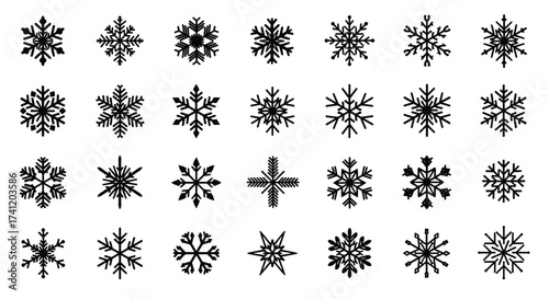 Collection of various delicate snowflake designs.