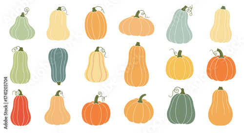 A collection of various colorful pumpkins and gourds.