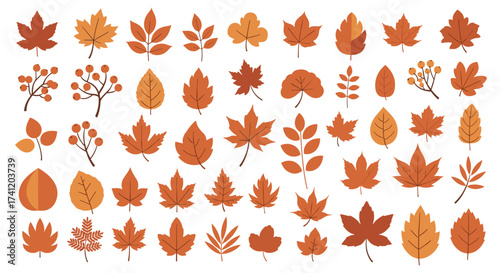 A collection of various autumn leaves and berries in warm tones.