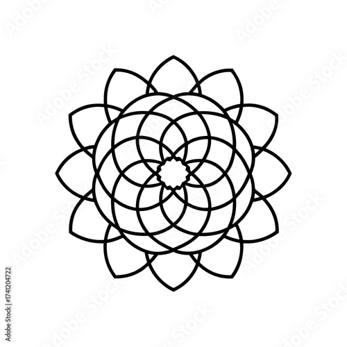 Geometric flower pattern with petal shapes on transparent background