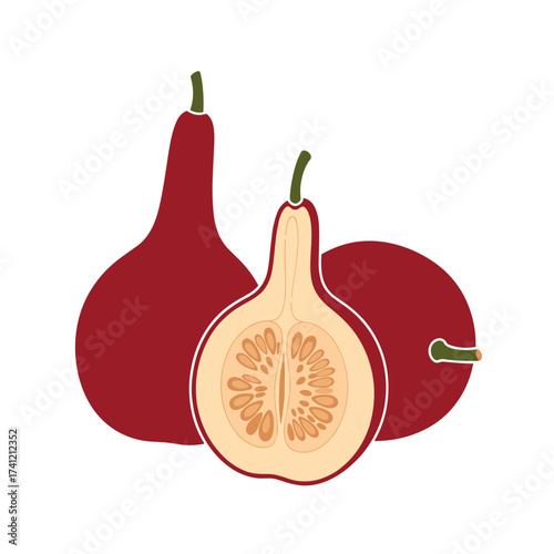 A group of ornamental gourds in various shapes and sizes some with a cutaway view showing seeds.