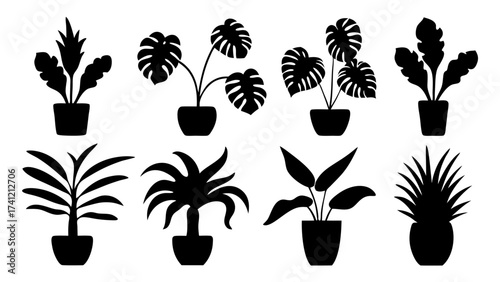 Set of Potted Houseplant Silhouettes. Black Indoor Plant Icons