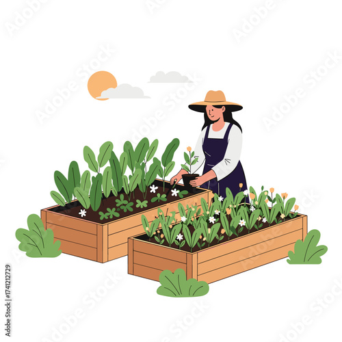 A person is gardening in a raised bed garden on a sunny day.
