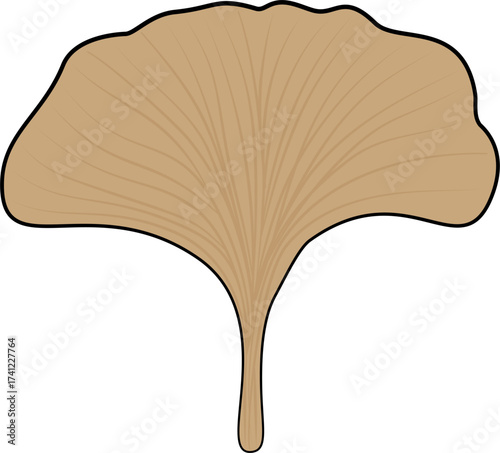 Brown Ginkgo Leaves