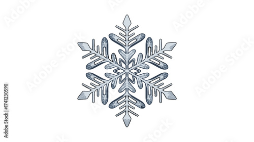 A detailed depiction of a delicate snowflake.