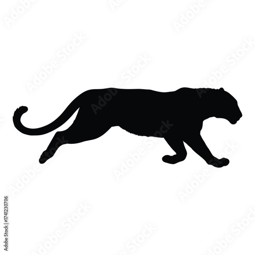 Canvas Print Silhouette of a powerful black panther walking gracefully with its tail extended a striking wild cat