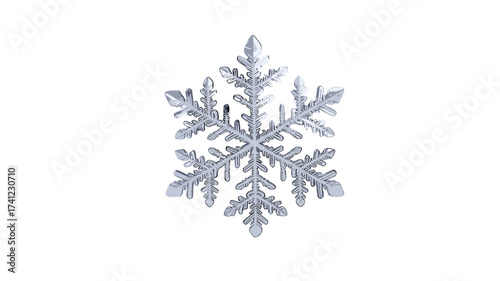 A close-up of a beautiful snowflake. 