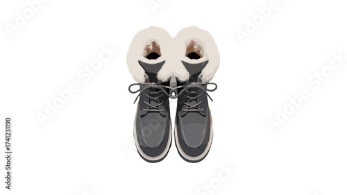 A pair of winter boots in a top-down view.