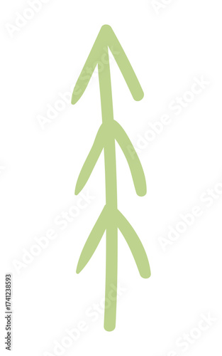 Fir, pine, spruce, conifer tree simple doodle isolated on transparent. Hand drawn flat vector illustration. Traditional holiday, Xmas, New Year, seasonal design element, clip art