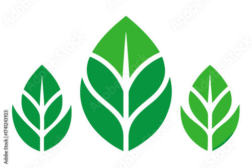 green leaf vector
