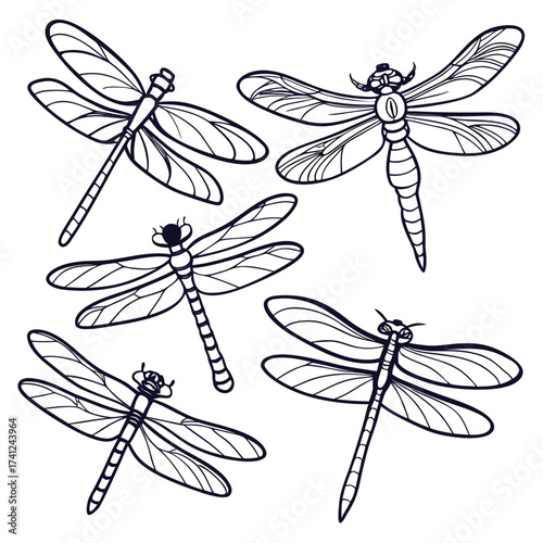 Collection of stylized black and white line art dragonflies in various poses and orientations