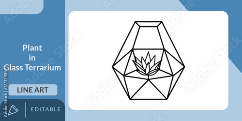 Geometric glass terrarium with plant line art illustration