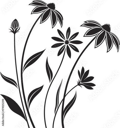 black and white flowers