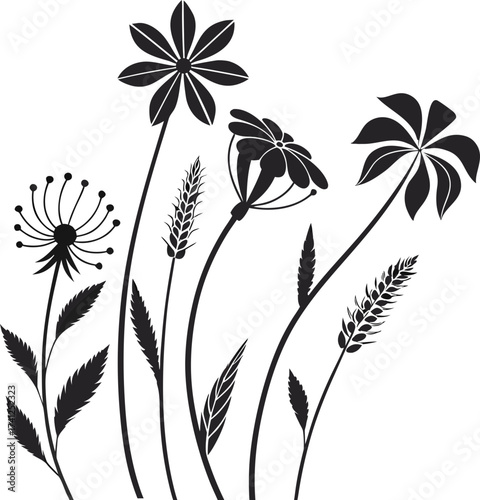 black and white flowers