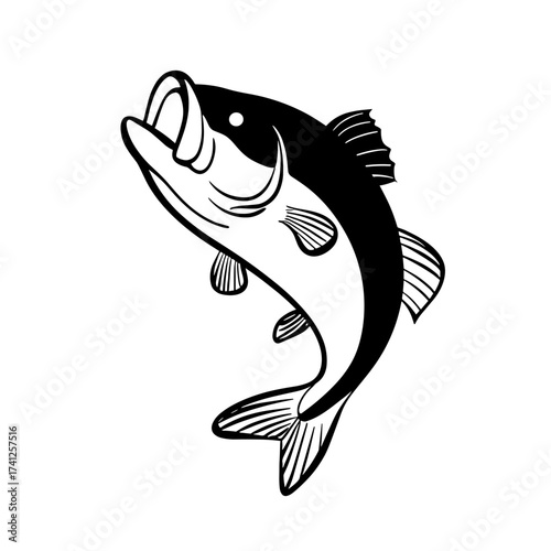 Bass. Bass simple black and white line art vector logo