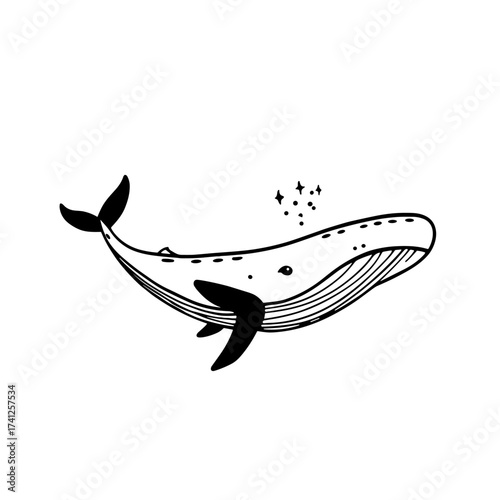 Gray Whale. Gray Whale simple black and white line art vector logo