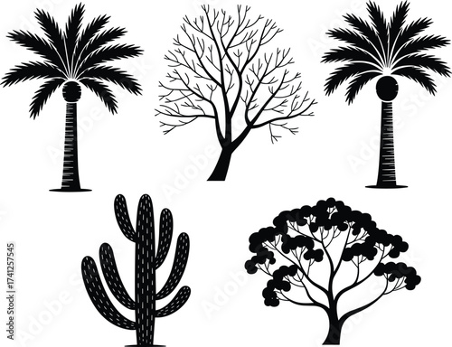Tree silhouette, palm tree, cactus illustration, black plant icon, nature graphic, desert vegetation, tropical tree, forest shape, botanical design, vector art