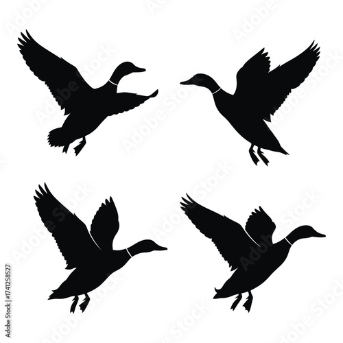 Four silhouette mallard ducks in flight dynamic poses for outdoor scenes wildlife art silhouette