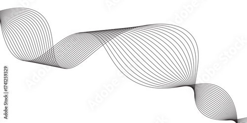 Black and white swirl pattern vector design with a flowing 3D light element curve