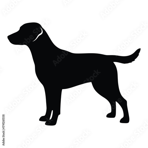 Silhouette of a black labrador retriever dog standing profile view for animal lovers and pet owners silhouette