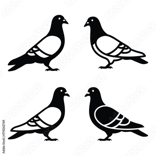 Four silhouetted pigeons in dynamic poses artistic graphic representation of avian life silhouette